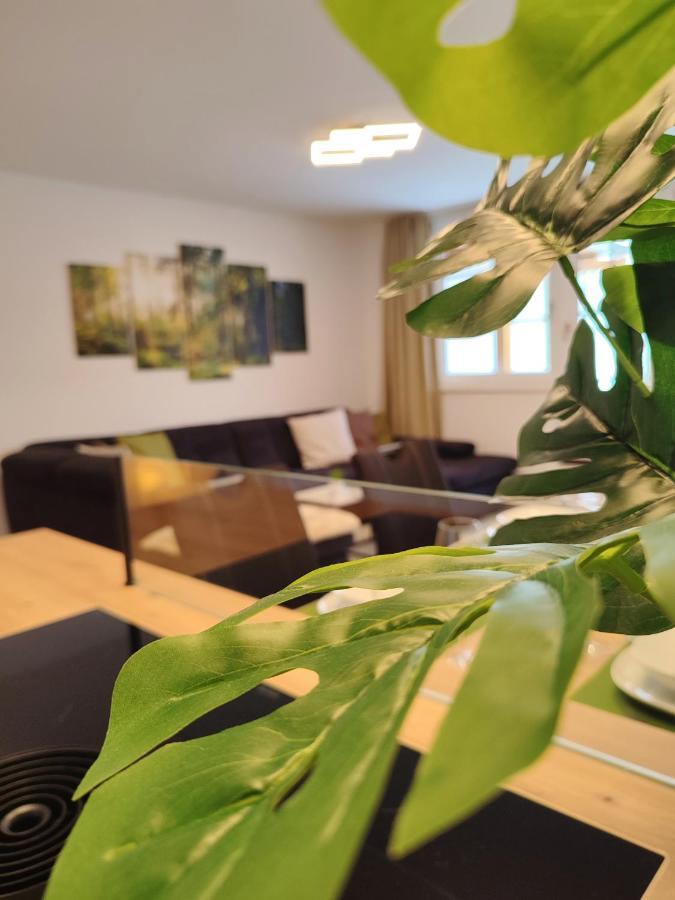 Modern Mountain Apartment - Free Parking & Sauna 오베르타우에른 외부 사진