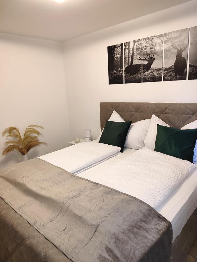 Modern Mountain Apartment - Free Parking & Sauna 오베르타우에른 외부 사진
