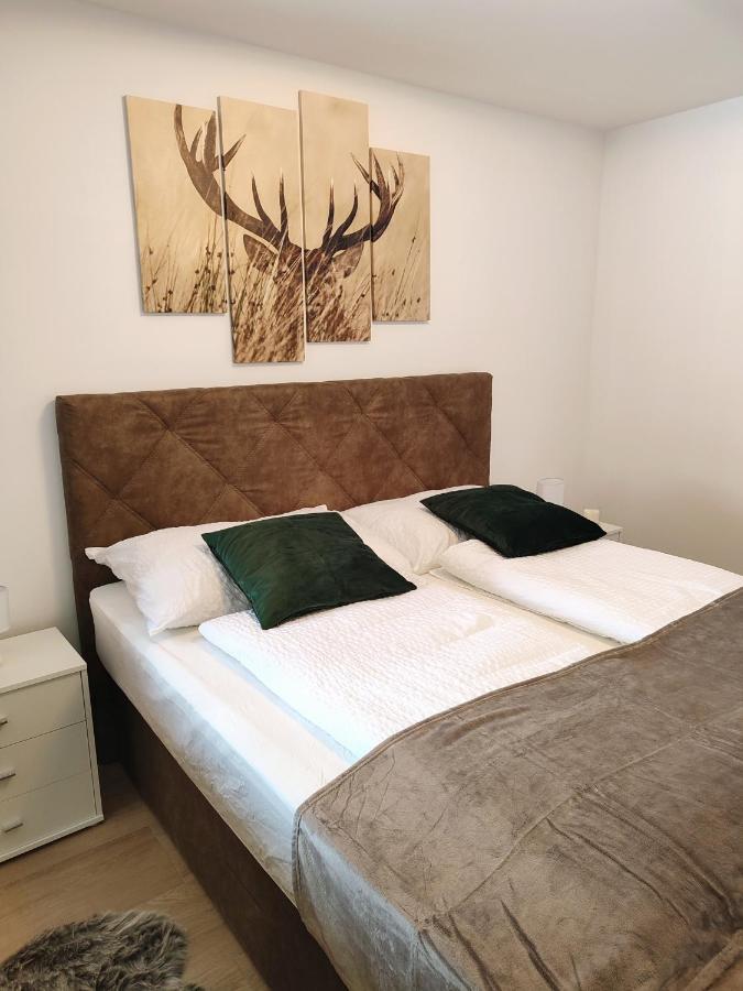 Modern Mountain Apartment - Free Parking & Sauna 오베르타우에른 외부 사진